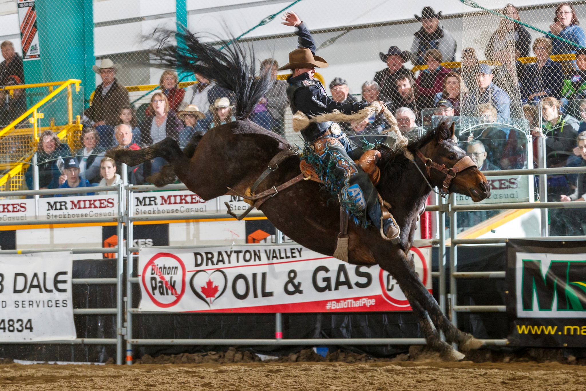 Drayton Valley Pro Rodeo Everyone's Western Experience