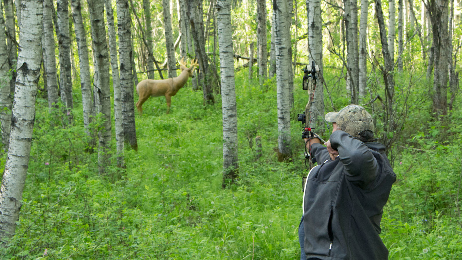 Read more about the article A ramble at the archery range