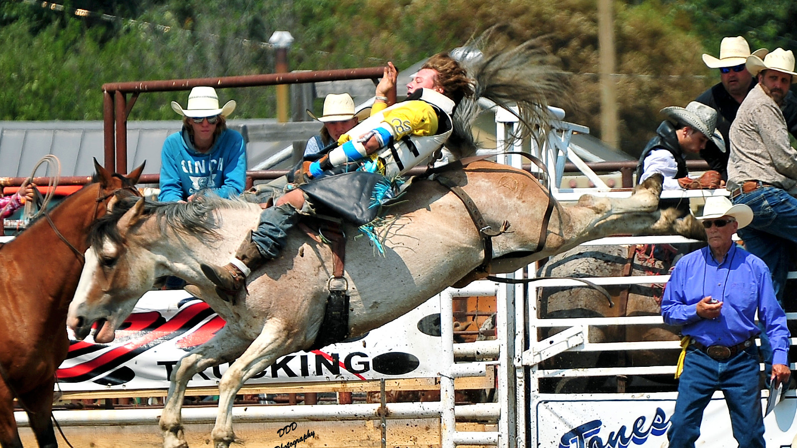 Read more about the article Buck Lake Stampede
