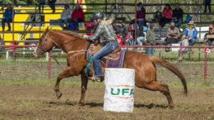 Read more about the article Entwistle Rodeo