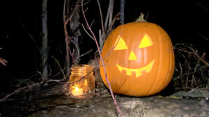 Read more about the article Pumpkin prowl planned