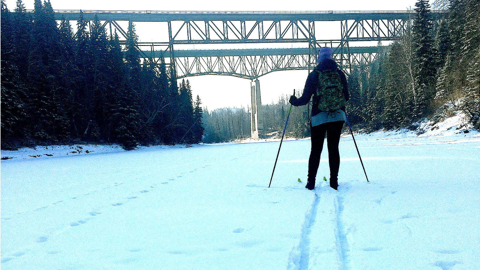 You are currently viewing A bridge to our history