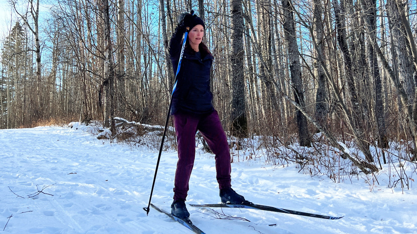 Nordic Ski  Brazeau and Beyond - Drayton Valley and District Free