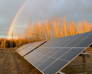 Read more about the article Solar array at Violet Grove lagoon