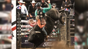Read more about the article Bull rider set for CFR