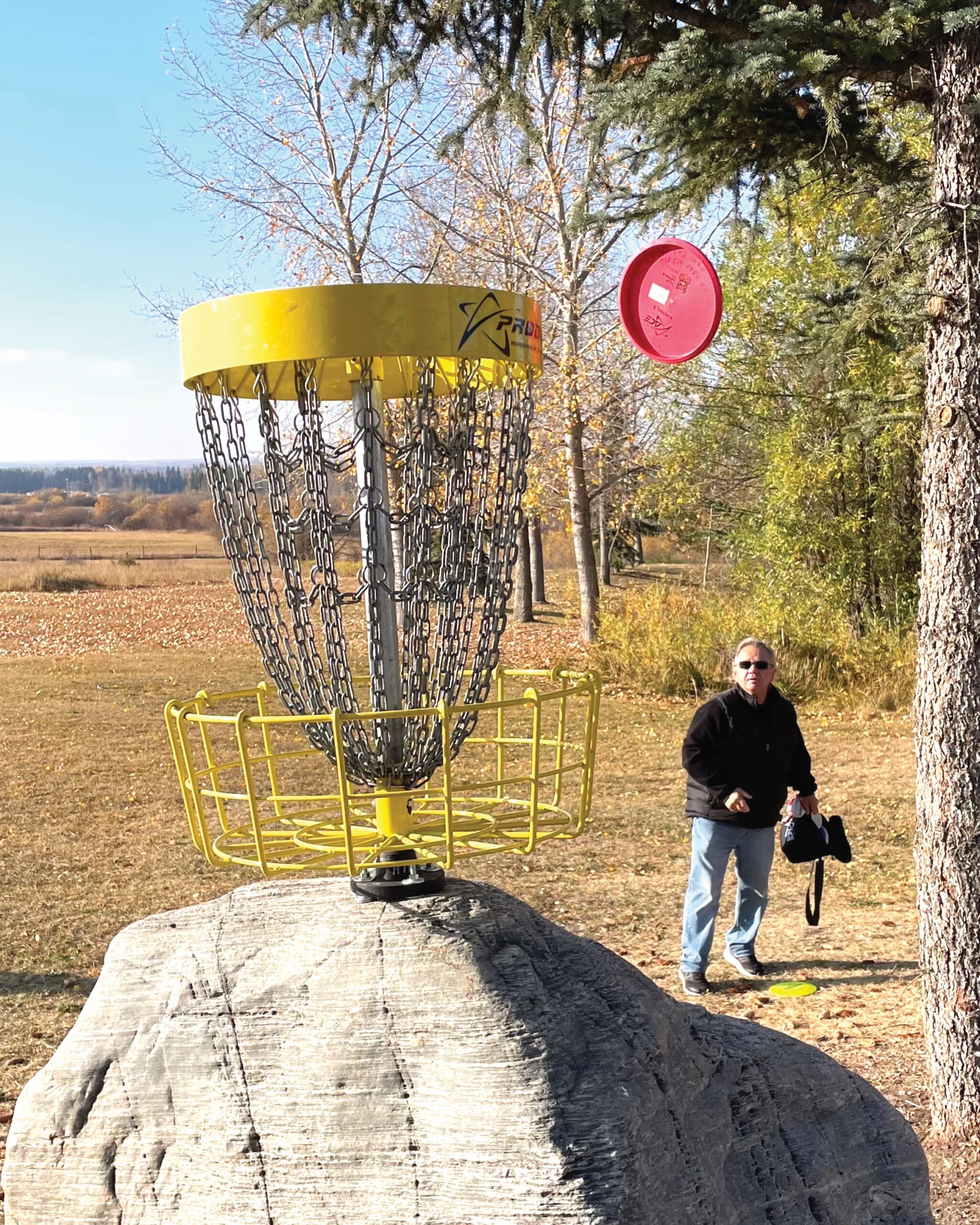 Read more about the article Disc golf expansion proposed