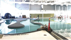 Read more about the article Pool nearing completion