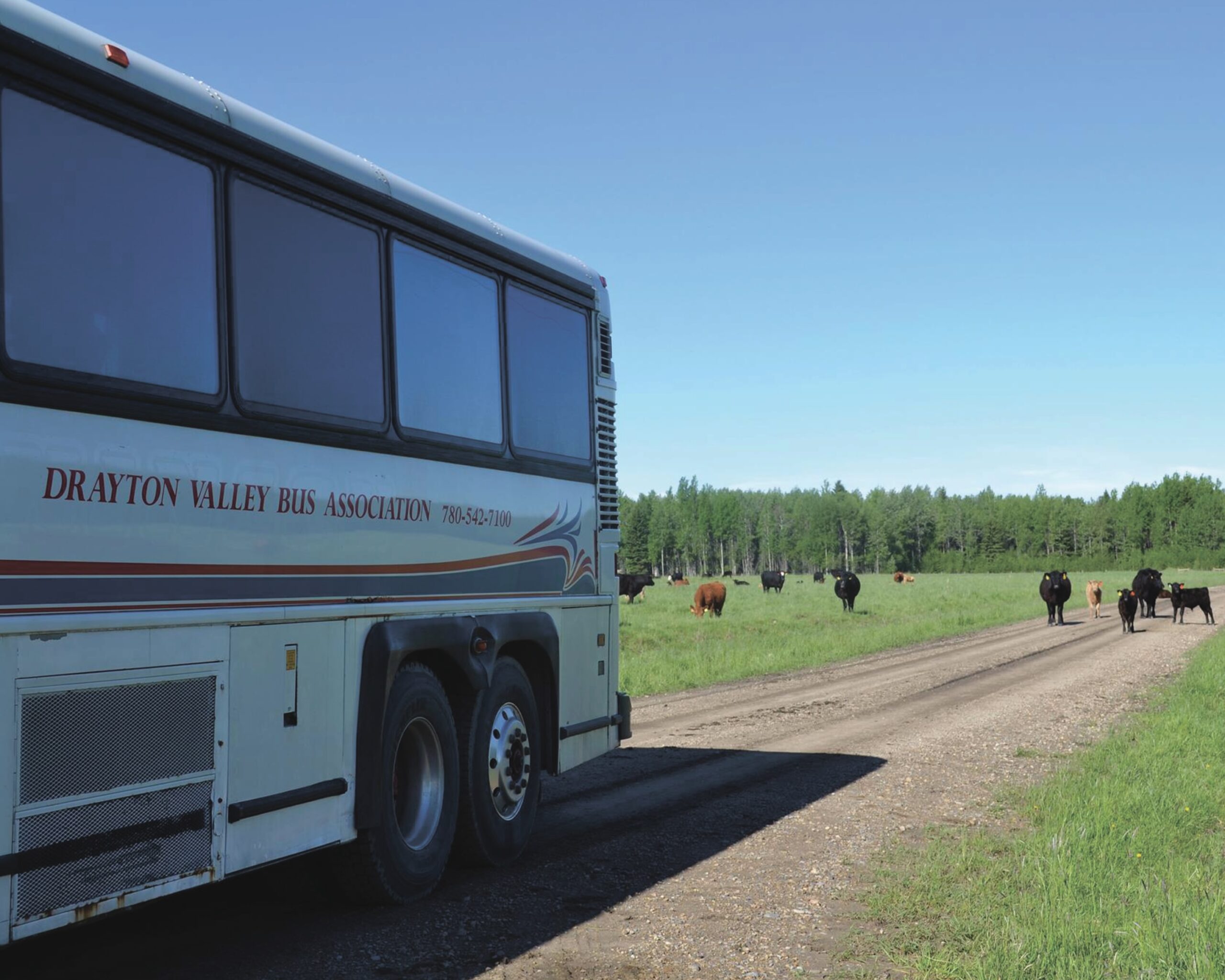 You are currently viewing Bus association reaches end of the road